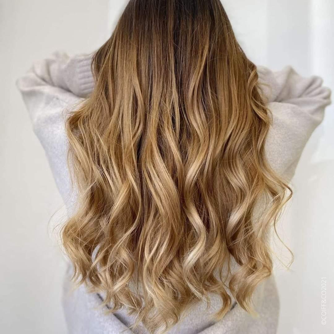 Visuel salon